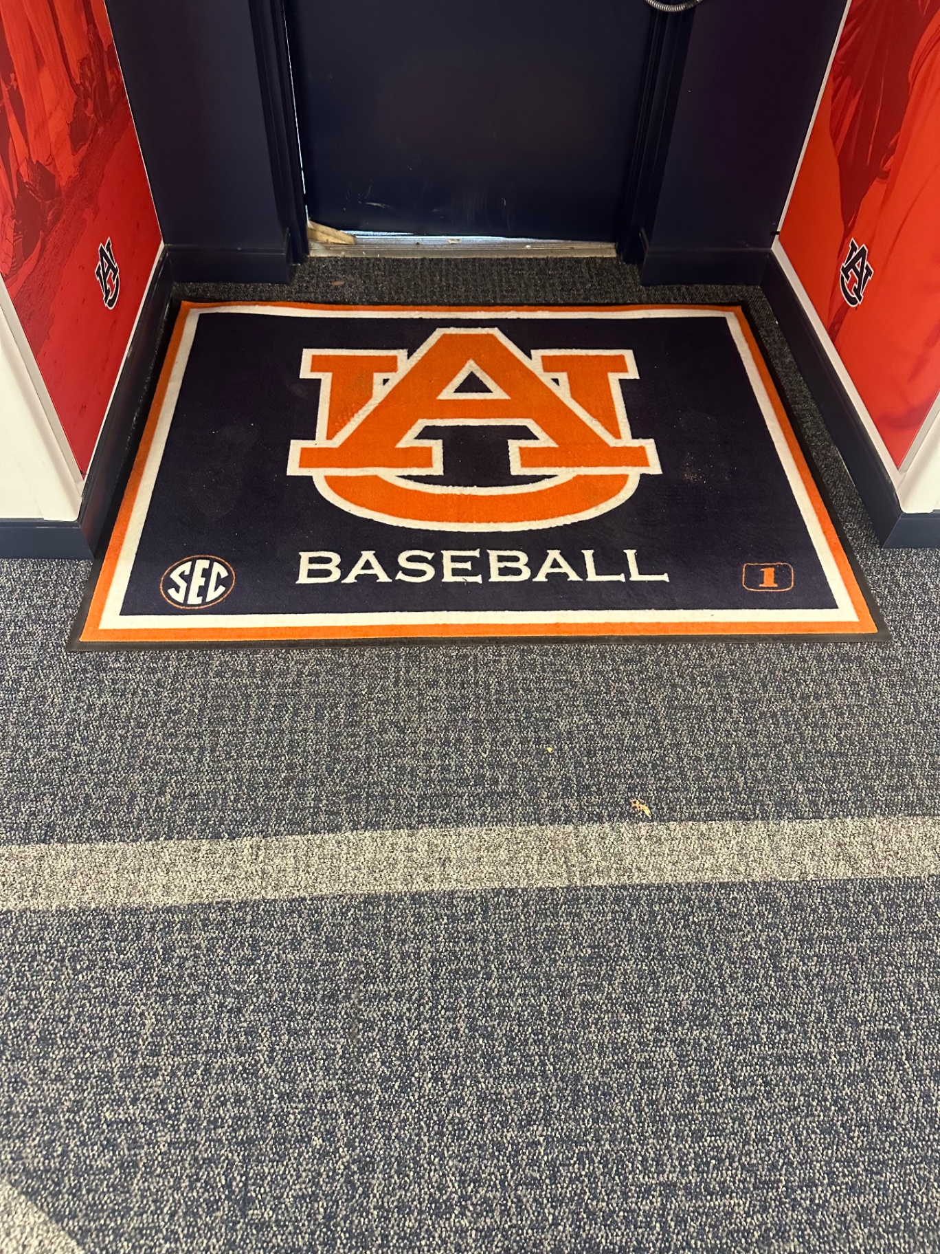 Entry Rugs